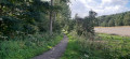 point 4 - sentier qui longe la Forêt de Meerdaal