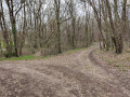 Point 6 le chemin en face.