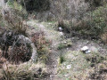 PoinT 8. Ruine du bassin circulaire d'irrigation.