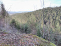 Point de vue 1