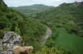 Point de vue 1
