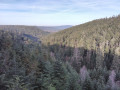 Point de vue 2