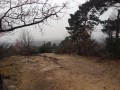 Des rochers de Cuvier Chatillon à Bois-le-Roi et retour Des rochers de Cuvier Chatillon à Bois-le-Roi et retour
