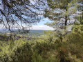 Point de vue entre branches