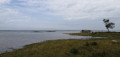 Point de vue étang de Cazaux et de Sanguinet