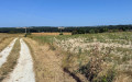 Saint-Perdoux depuis Issigeac