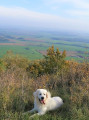 Point de vue sur la Saintois