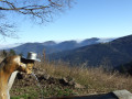 On the peaks of the Ballon de Servance Sur les sommets du Ballon de Servance