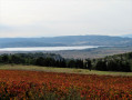 point de vue sur les étangs
