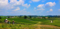 Point de vue sur les vignes