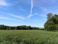 Circuit du Sundgau : les bunkers oubliés