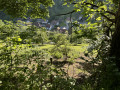 Point de vue sur Linthal