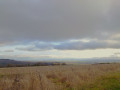 Entre vignes et bois : panoramas sur Reims et la Vesle