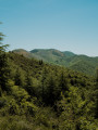 Haute-vallée de l'Orb - D'Avène au Rieussec par le Peyreguille Haute-vallée de l'Orb - D'Avène au Rieussec par le Peyreguille