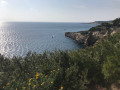 Du Port de Sanary à Portissol