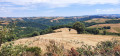 Point de vue
