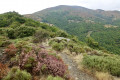 Les Hauts de Saint-Privat Les Hauts de Saint-Privat