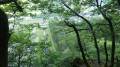 Point de Vue
