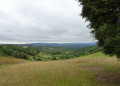 Point de vue