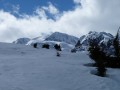 Point de vue