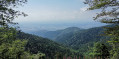 Point de vue