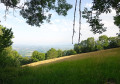 Point de vue
