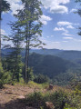Point de vue