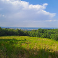 Point de vue
