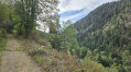 Point de vue
