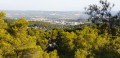 Point de vue