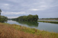 Pointe de l’île de Rhinau