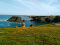 pointe des Poulains