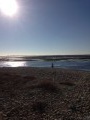 Sur la Presqu'Île de Loix-en-Ré