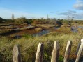 Polder