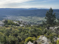 Polj&eacute; de Cuges-les-Pins