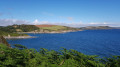 Polridmouth Cove and Polruan far away