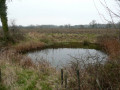 Pond