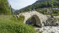 Bridge at the start