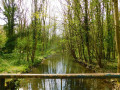 Pont au dessus de l'Ecole Pont au dessus de l'Ecole