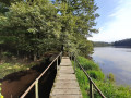Pont de bois à l'Etang de Gland Pont de bois à l'Etang de Gland