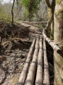 Pont de bois Pont de bois