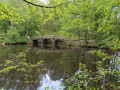 Pont de bois