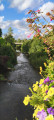 Promenade à Oermingen et alentours