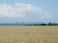 Pont de l'Île de Ré