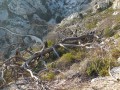 Pont de la piste d'accès au Baou par le Sud