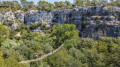 Pont de singe du Canyon Forest