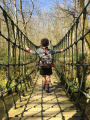 Pont de singe