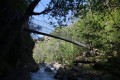 Pont de singe