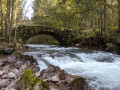 Pont du Champey