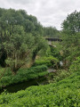 Pont du chemin de fer enjambant la Chiers